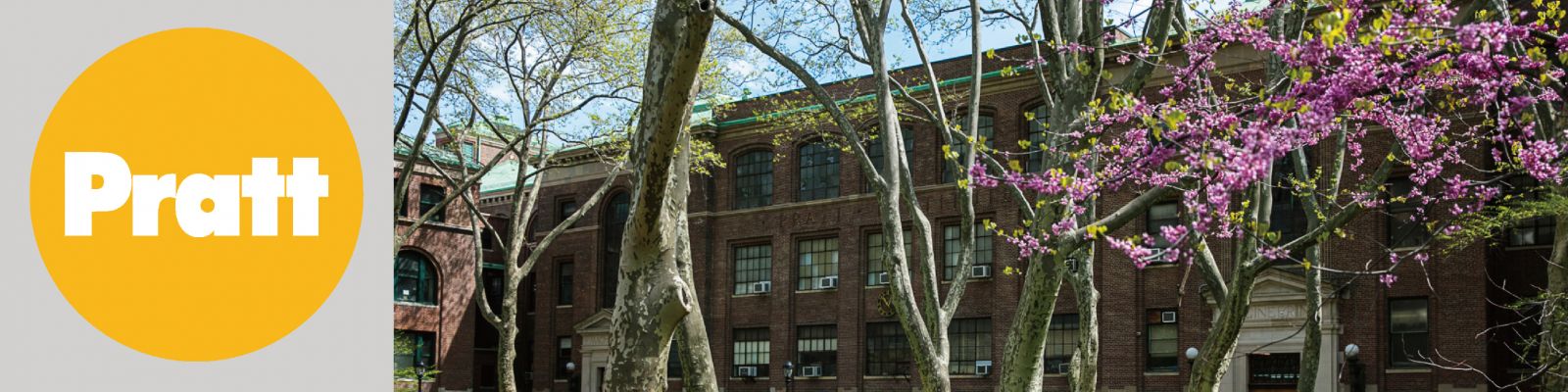 普瑞特藝術學院 (Pratt Institue ) 校園景觀