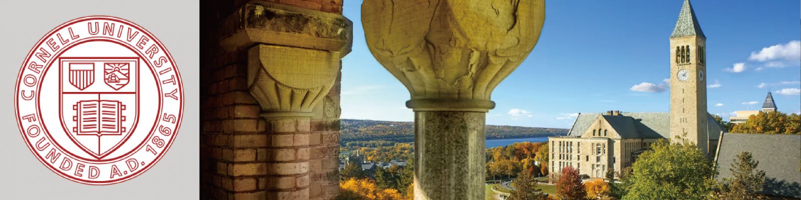 康乃爾大學(Cornell University&nbsp;)校園景觀